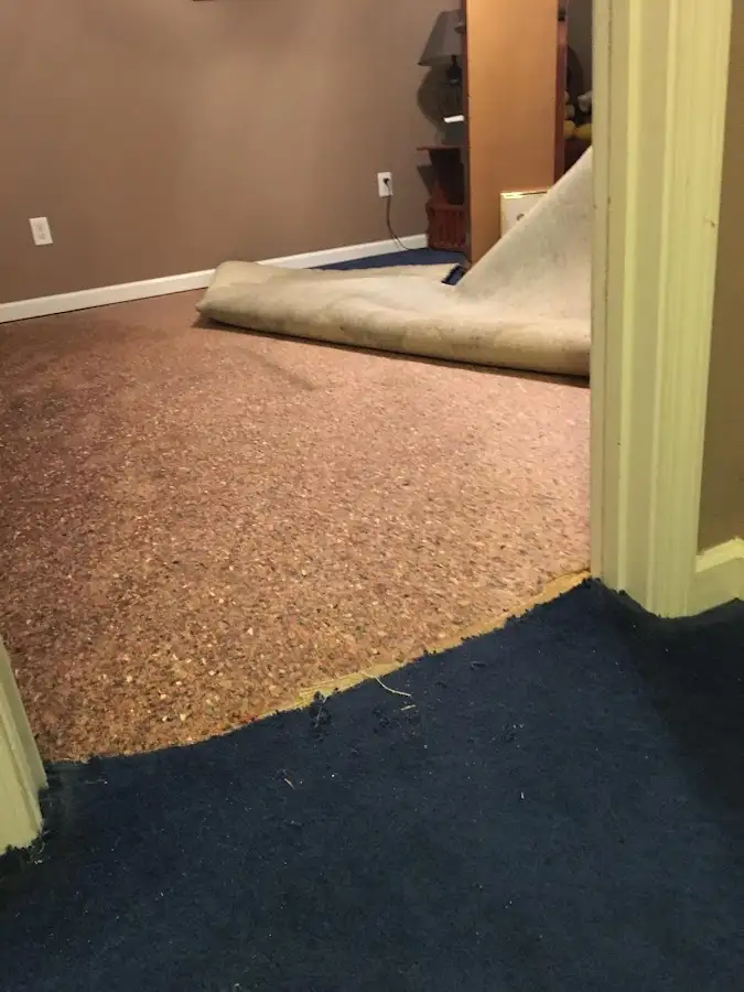 Carpet pad removal revealing water damage during Water Mitigation Services in Lansdowne