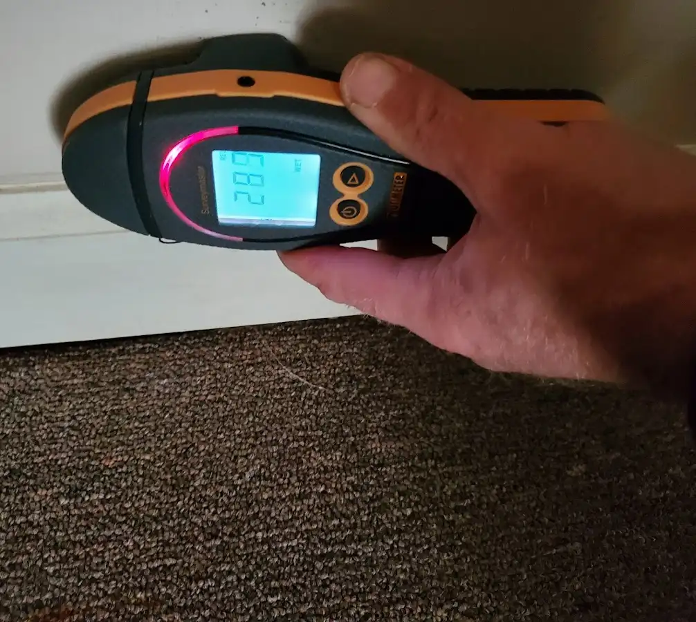 Moisture detection at baseboard during Mold Inspection & Testing in Lansdowne